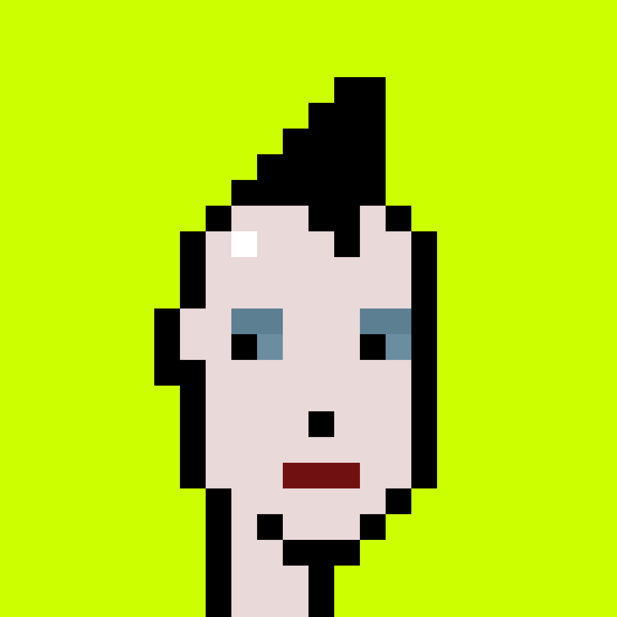 Punk #8962