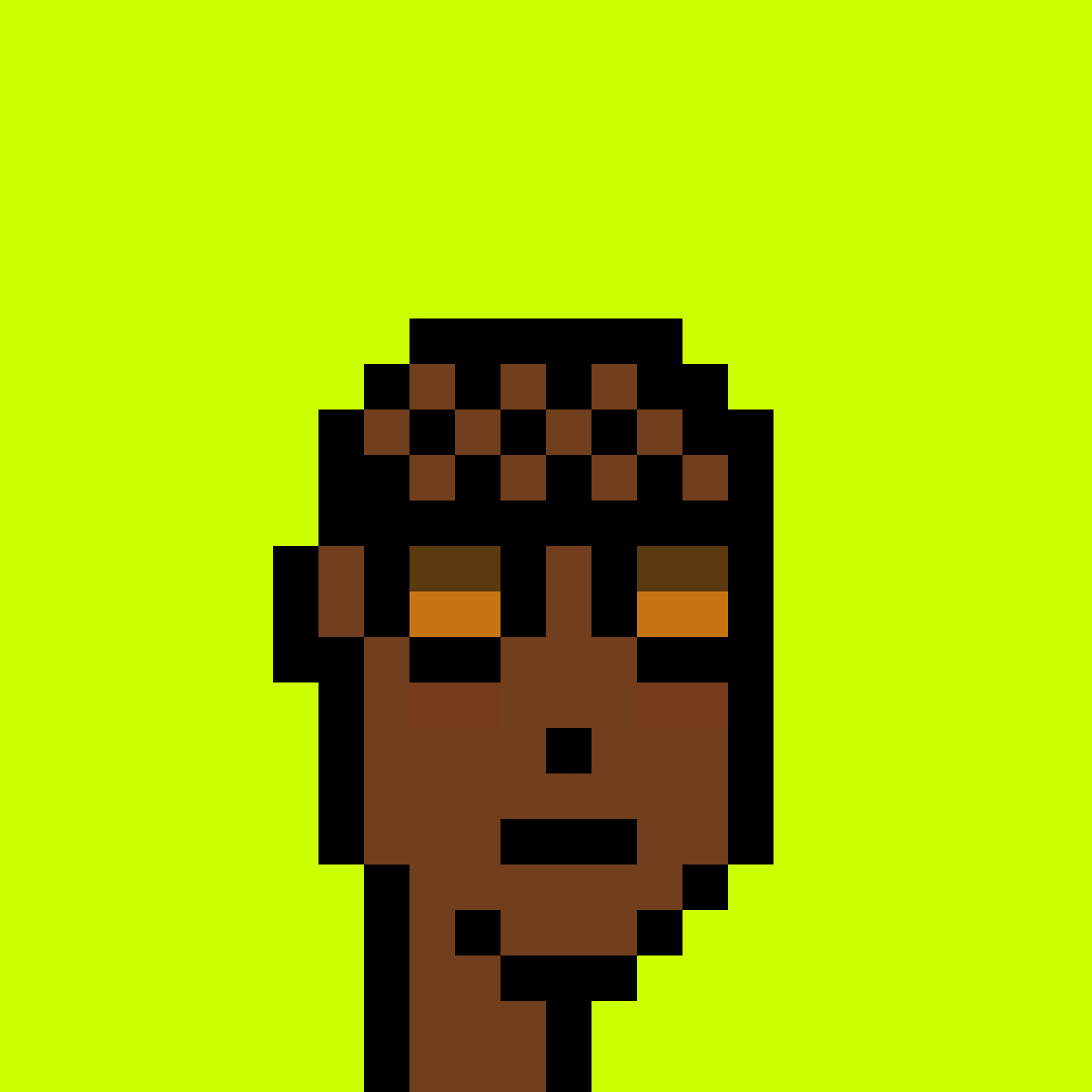 Punk #9051