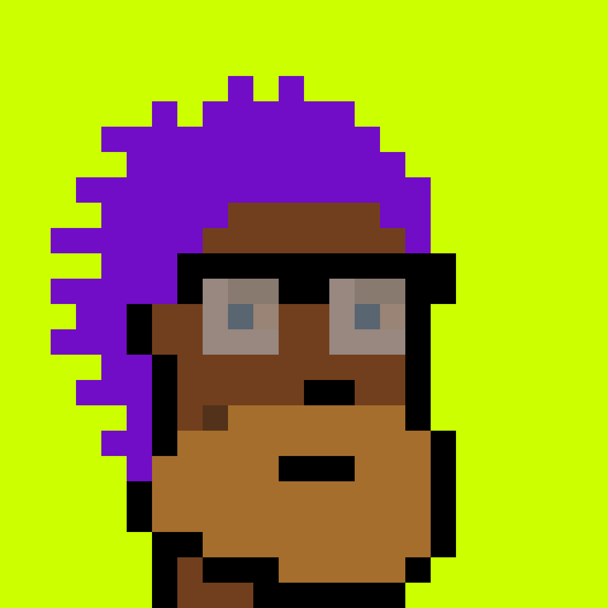 Punk #9055