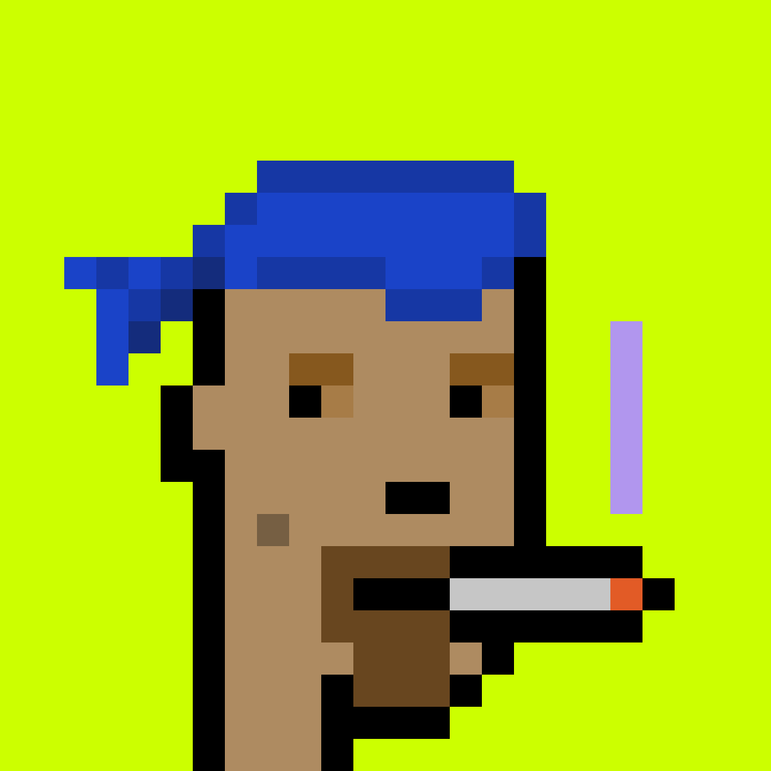 Punk #9066