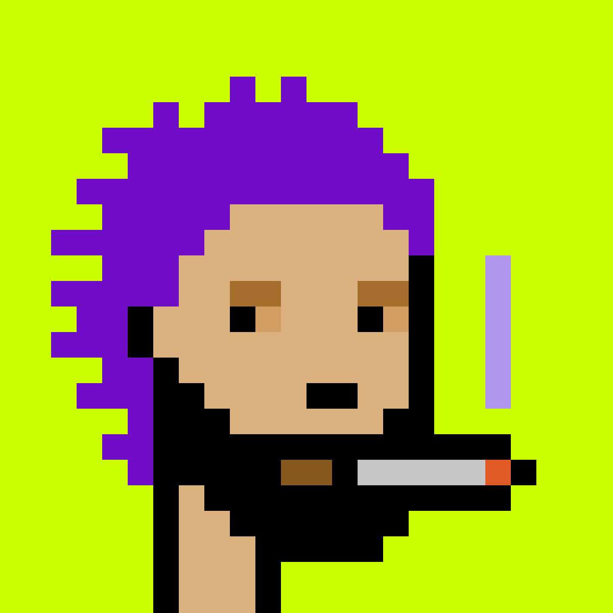 Punk #9070