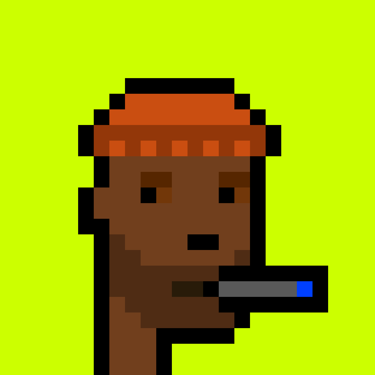 Punk #9077