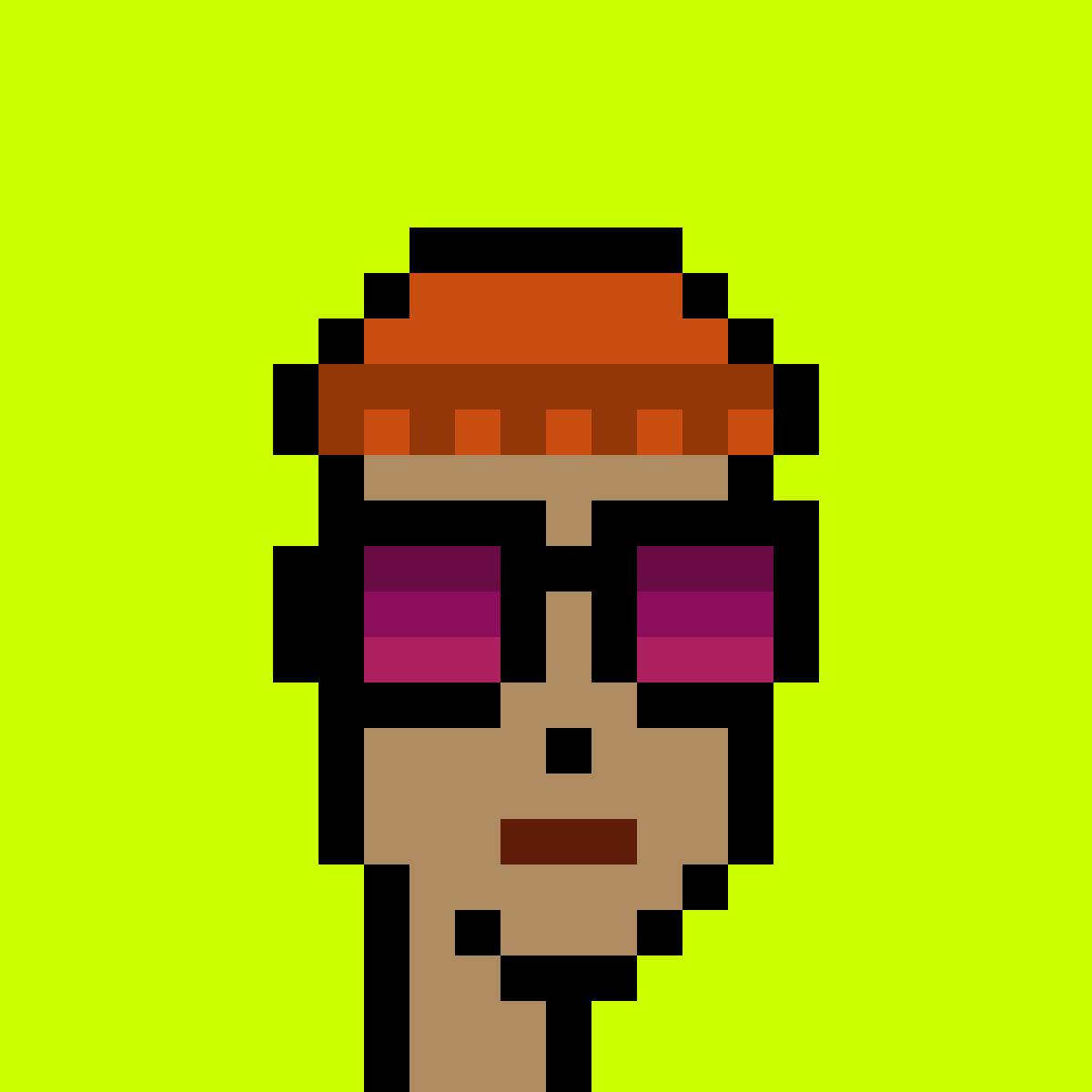 Punk #9112