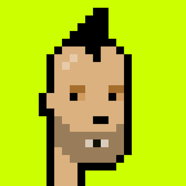 Punk #9113