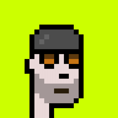 Punk #9120