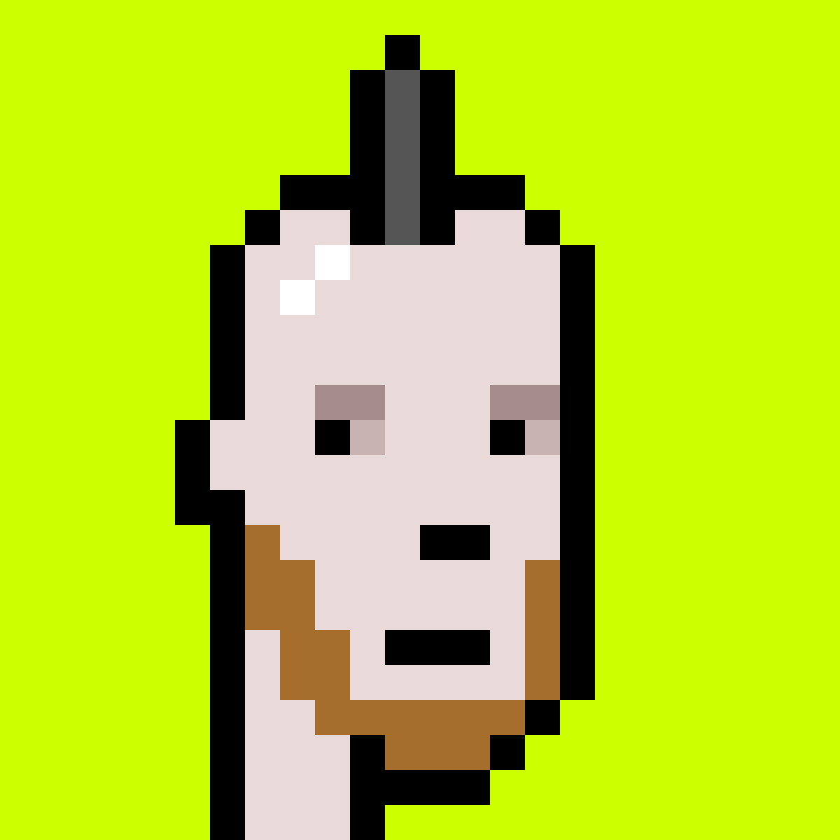 Punk #9155