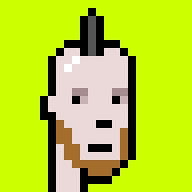 Punk #9155