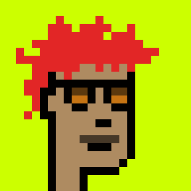 Punk #9316