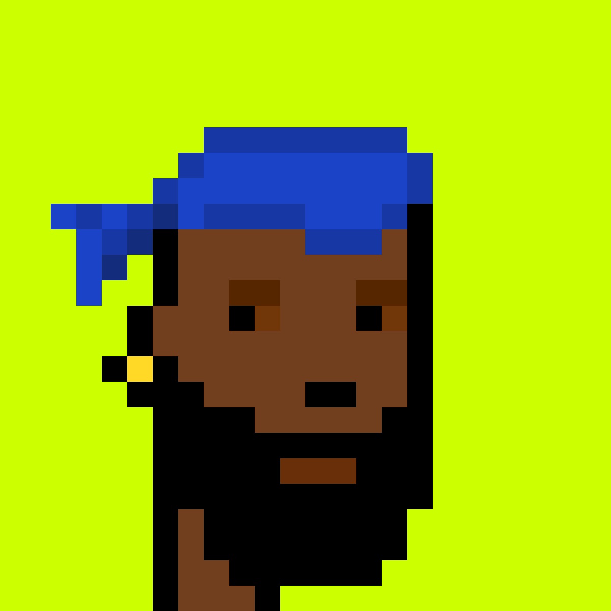 Punk #933