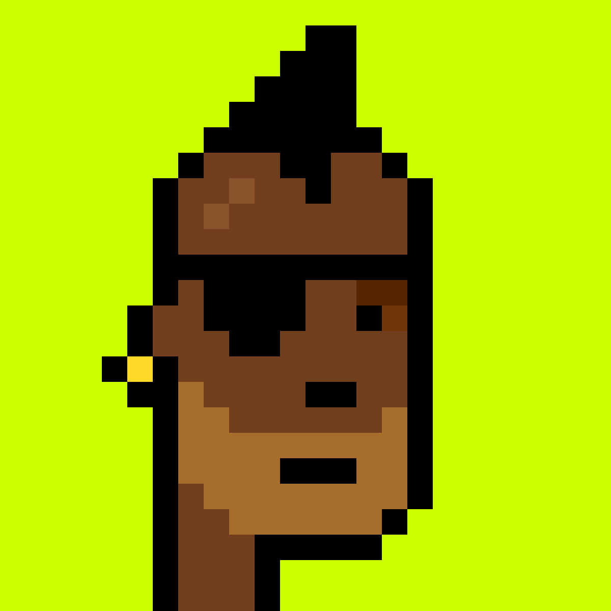 Punk #9500