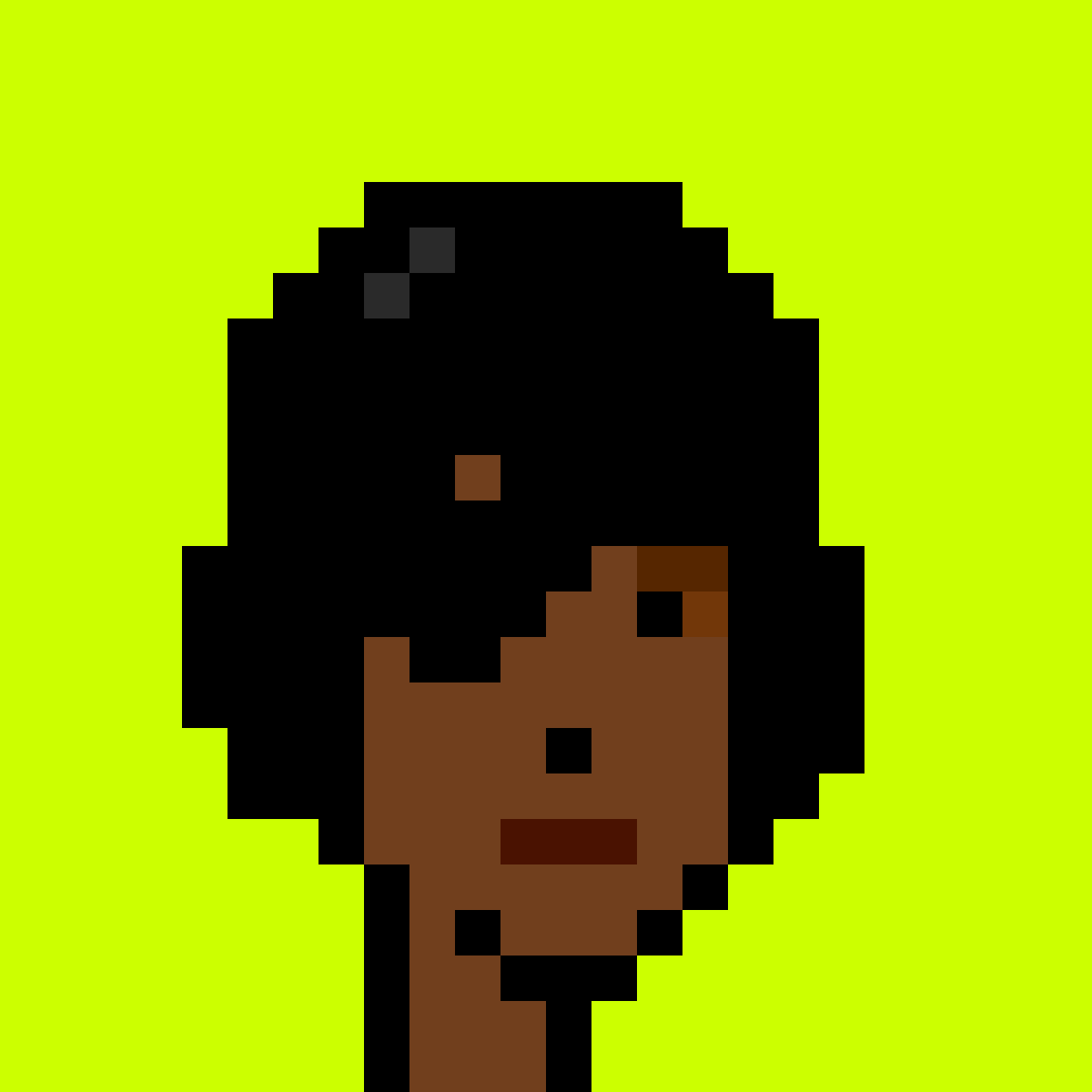Punk #9504