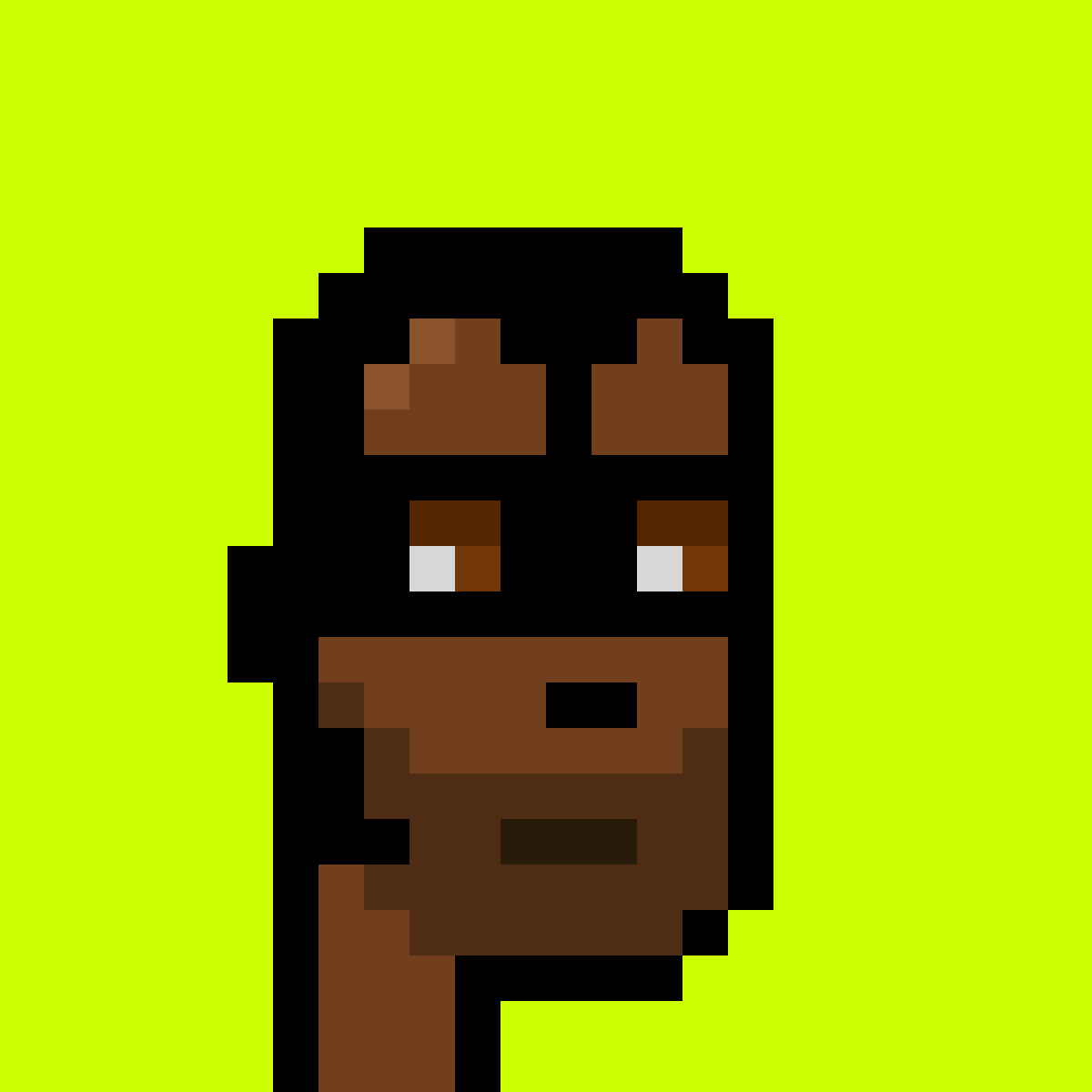 Punk #9508