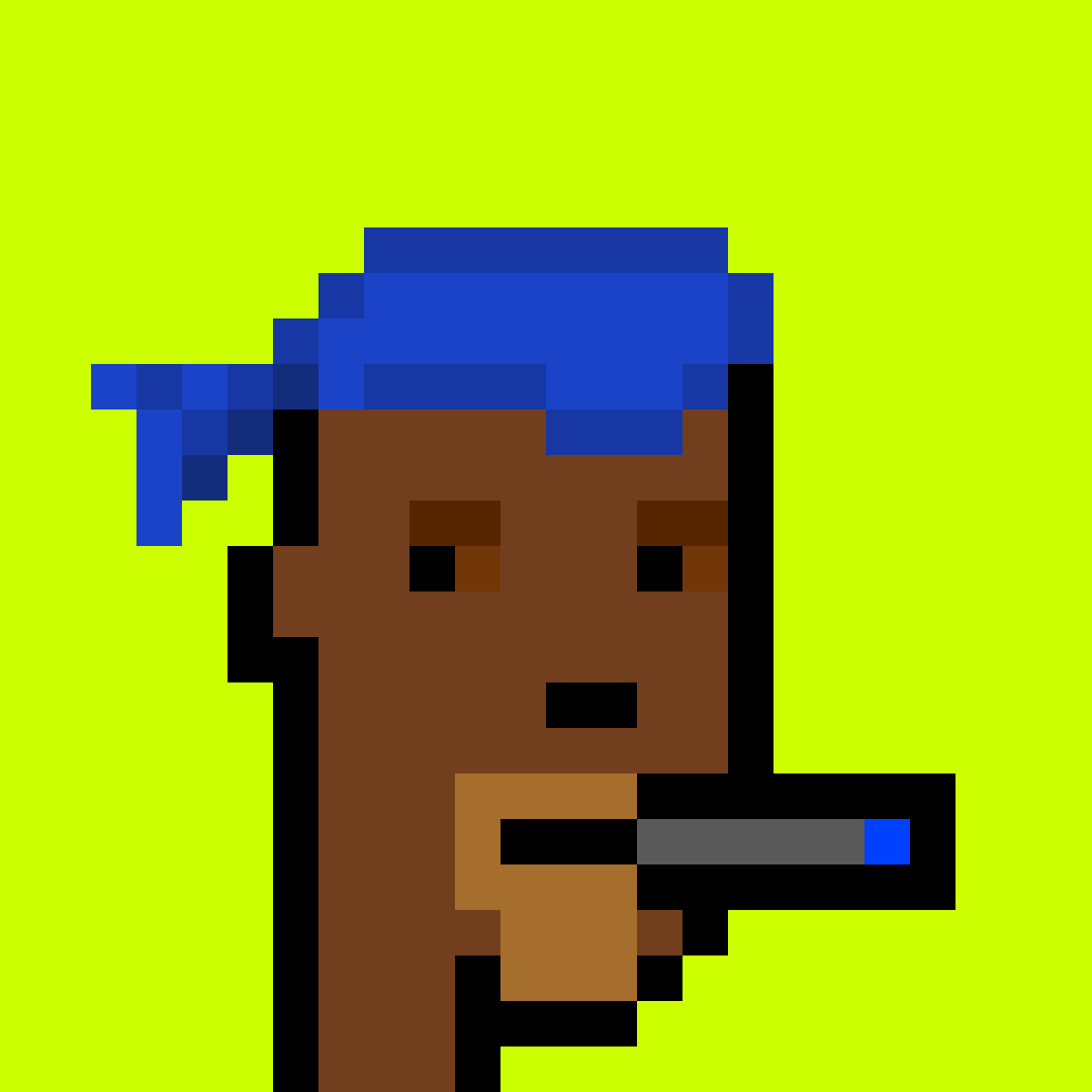 Punk #9534