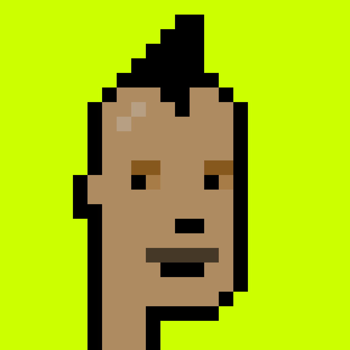 Punk #9536