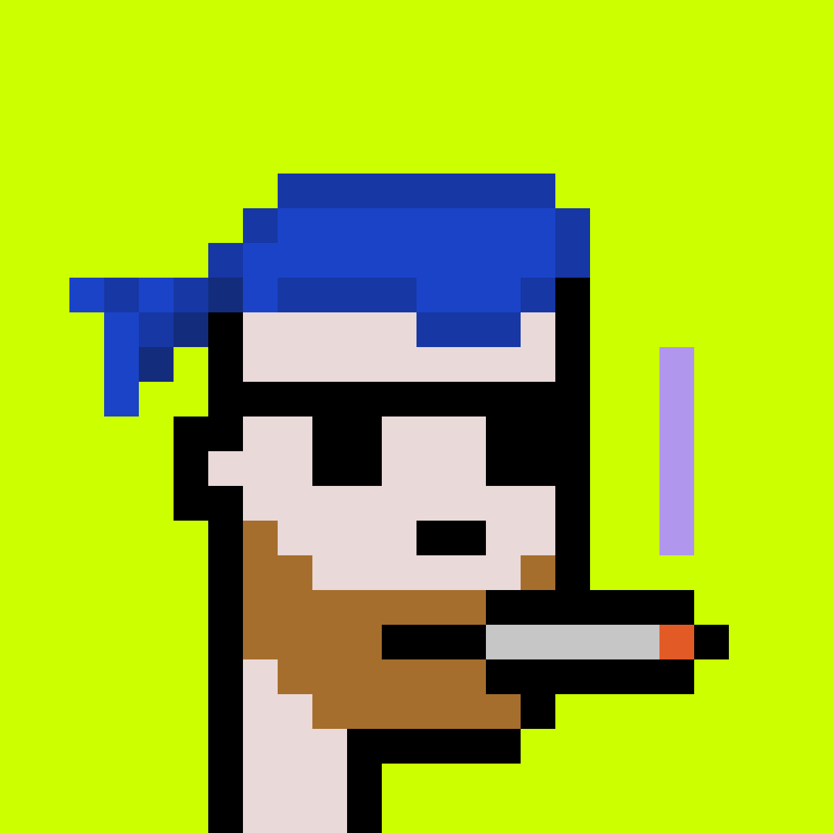 Punk #9588