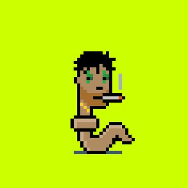 StonkPunks #509