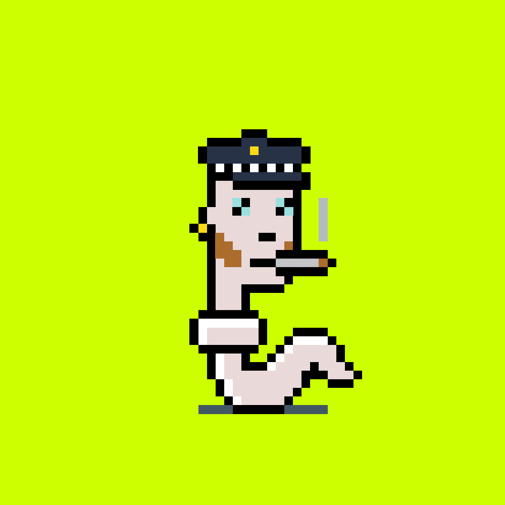 StonkPunks #857