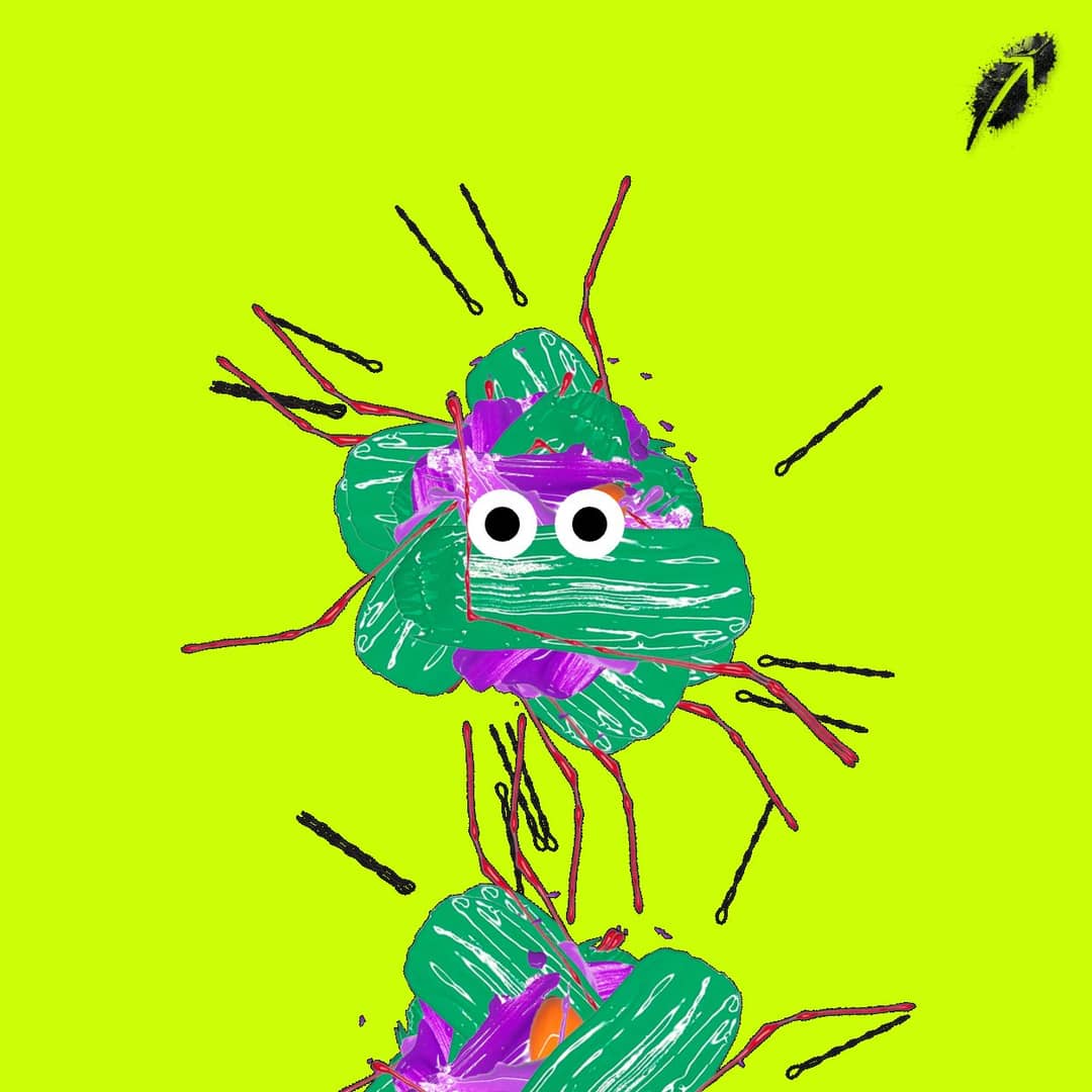 Paint RobinHood #1015