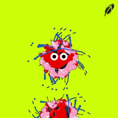 Paint RobinHood #1046