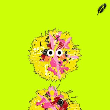 Paint RobinHood #1047