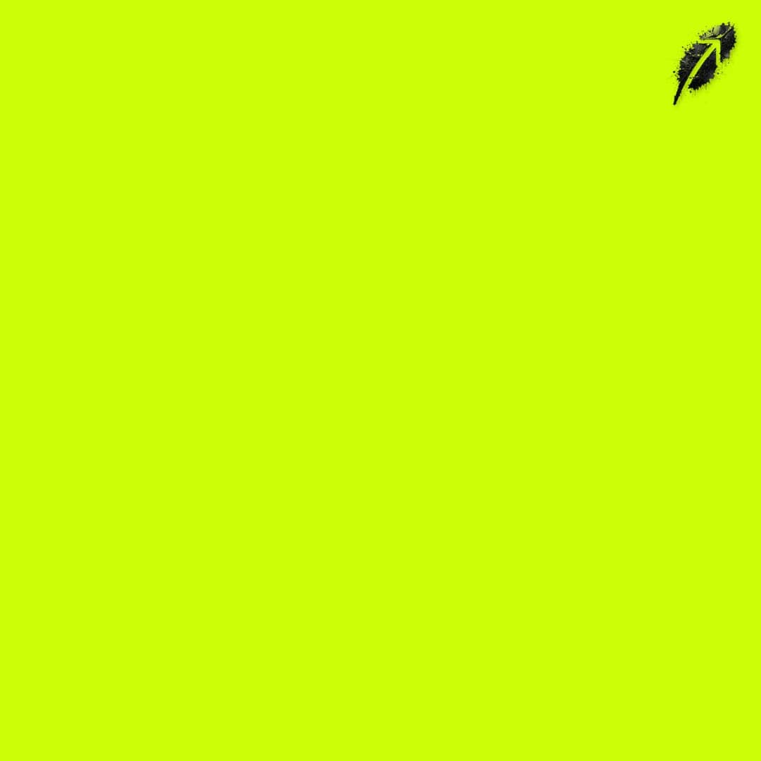 Paint RobinHood #1096