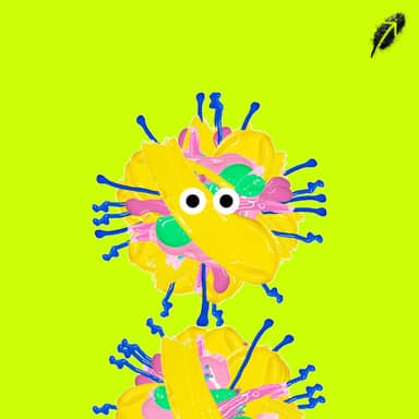 Paint RobinHood #806