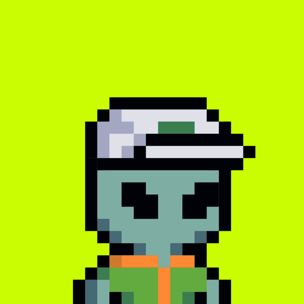 Tiny Hood #376