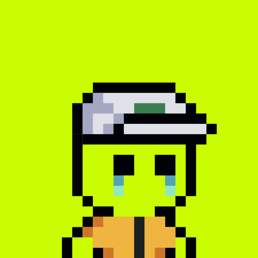 Tiny Hood #512