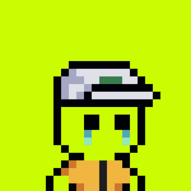 Tiny Hood #512