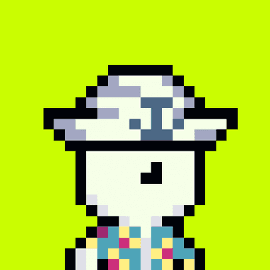 Tiny Hood #860