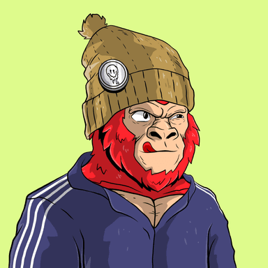 Hood Kongz 307