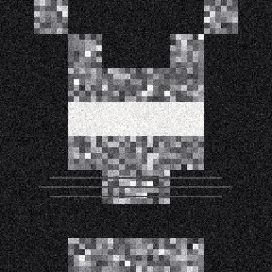 Cat #5525