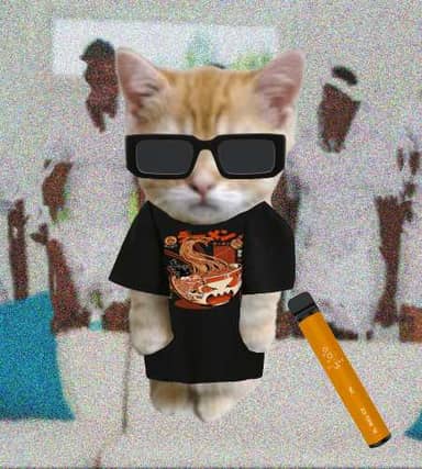 Cate #249