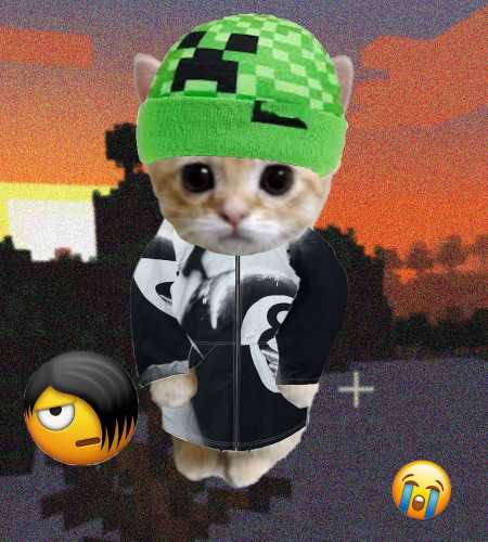 Cate #417