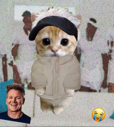 Cate #63