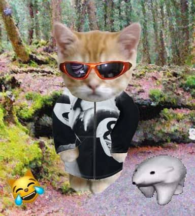 Cate #75