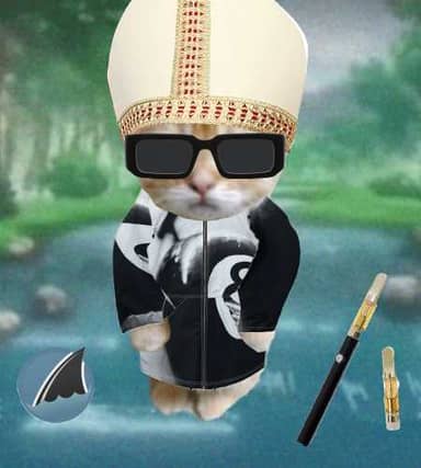 Cate #77