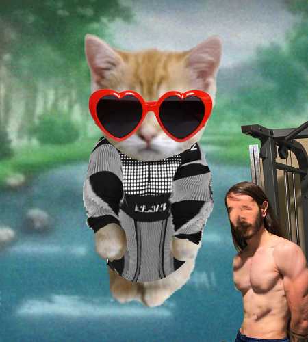 Cate #966