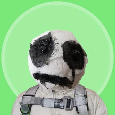 Robinhood Fren #229
