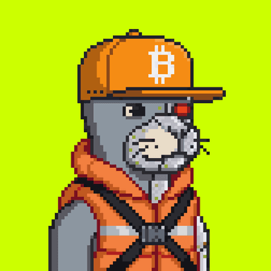 Robinhood Seals #485