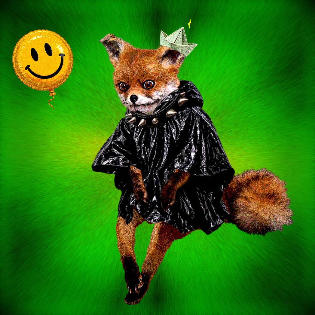 Cash Fox #790