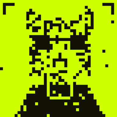 HoodCat #290