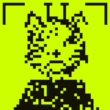HoodCat #9742