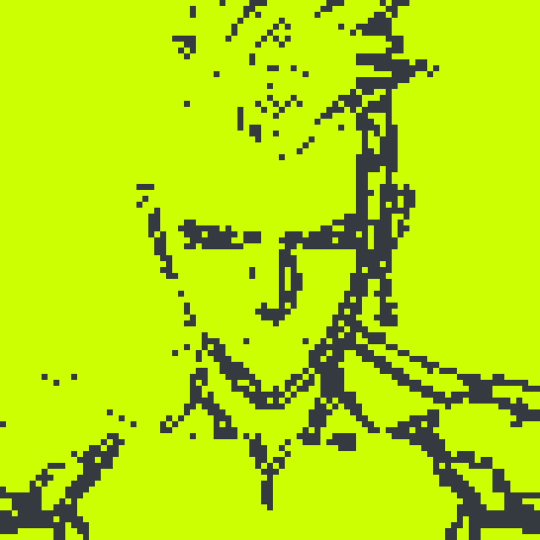 Robin Alpha#1776