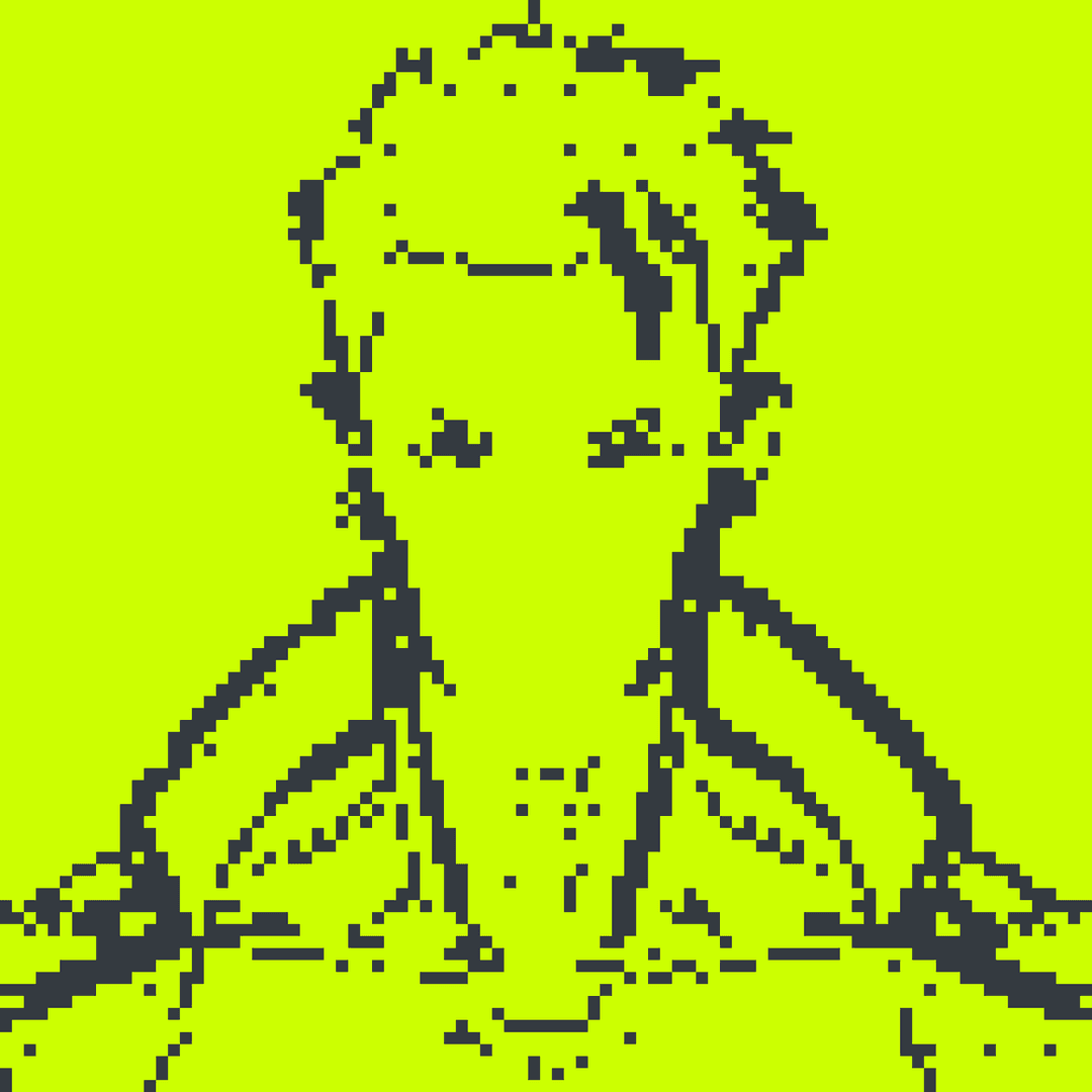 Robin Alpha#1998
