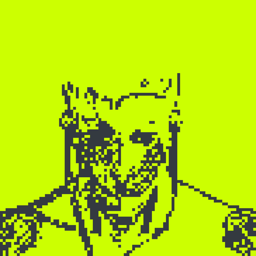Robin Alpha#2080