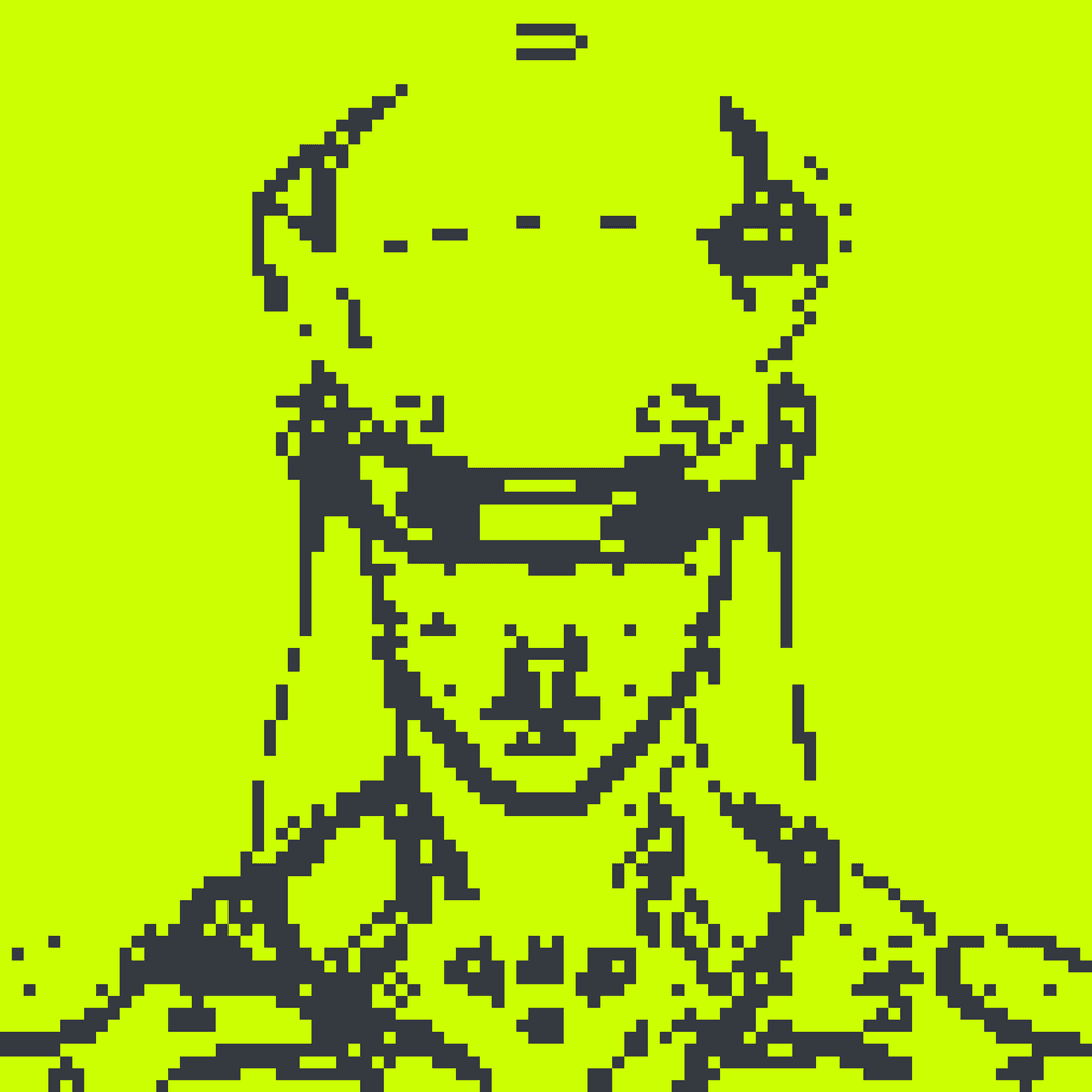 Robin Alpha#2361