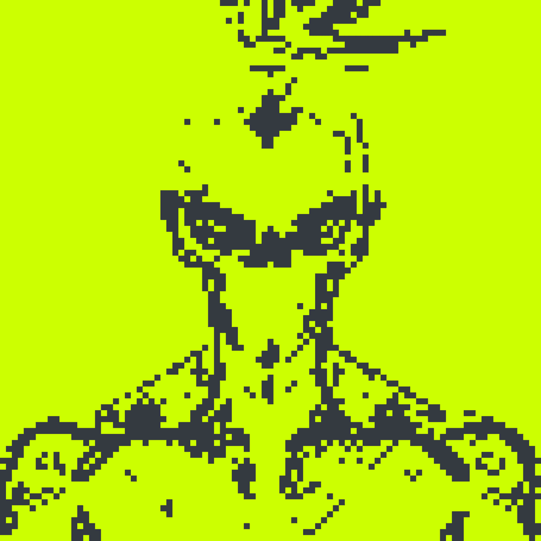 Robin Alpha#2674