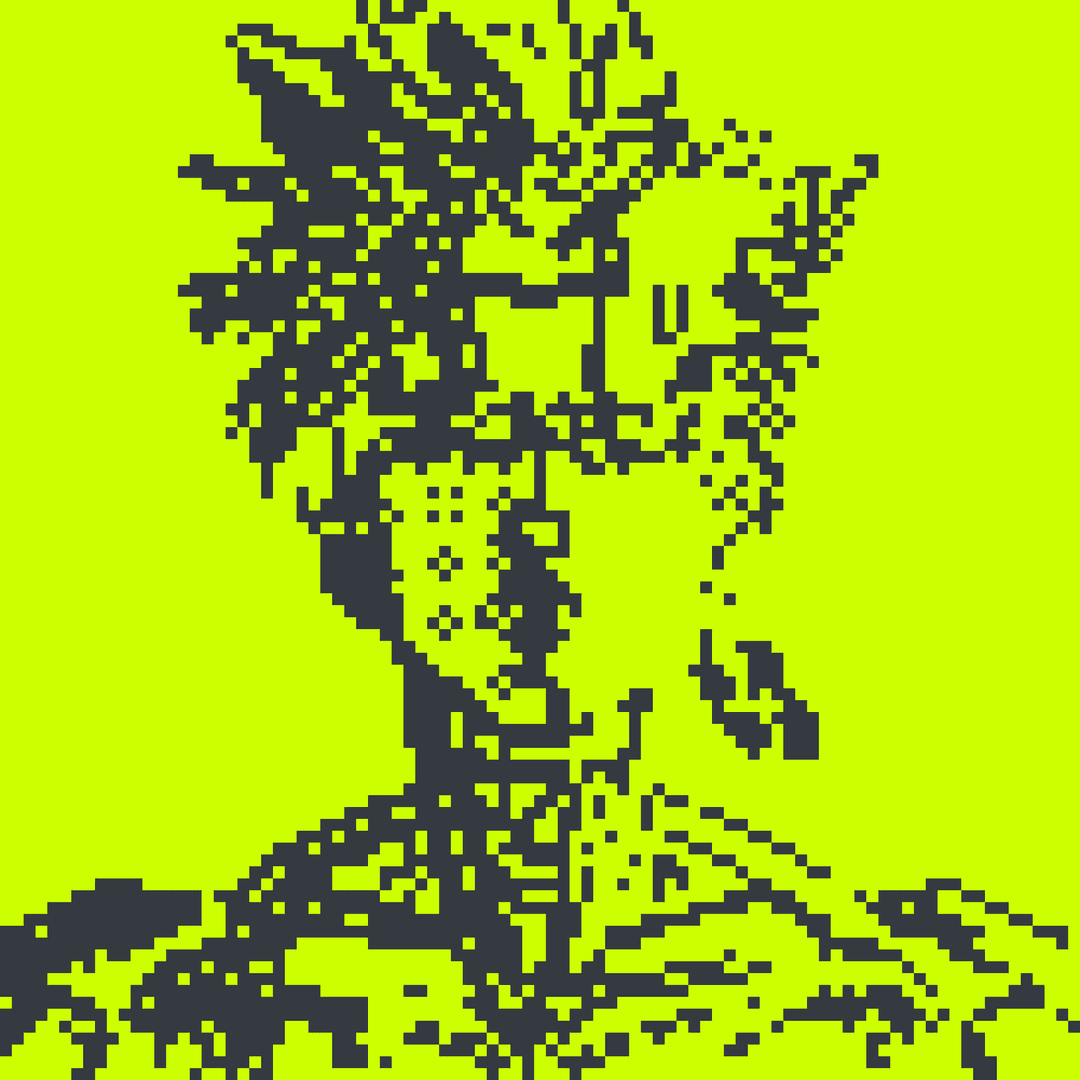 Robin Alpha#2823