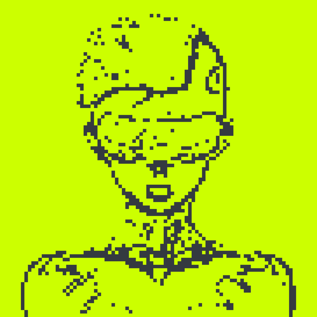Robin Alpha#3215